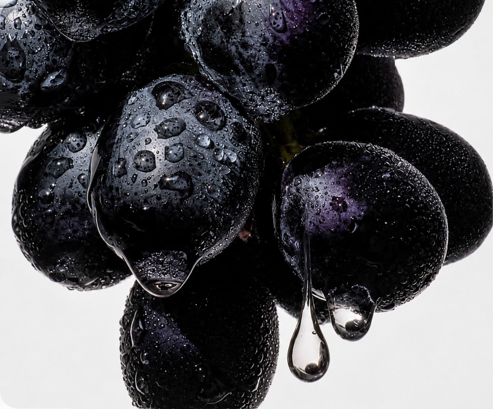 Dark grapes beaded with water