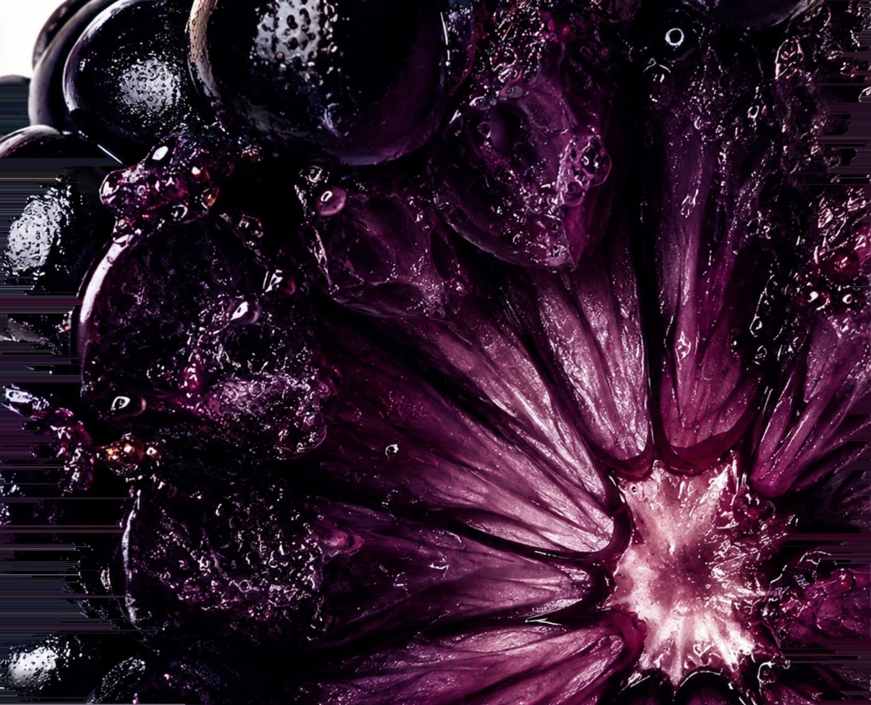 Blackberries and a cut fig, shot dark