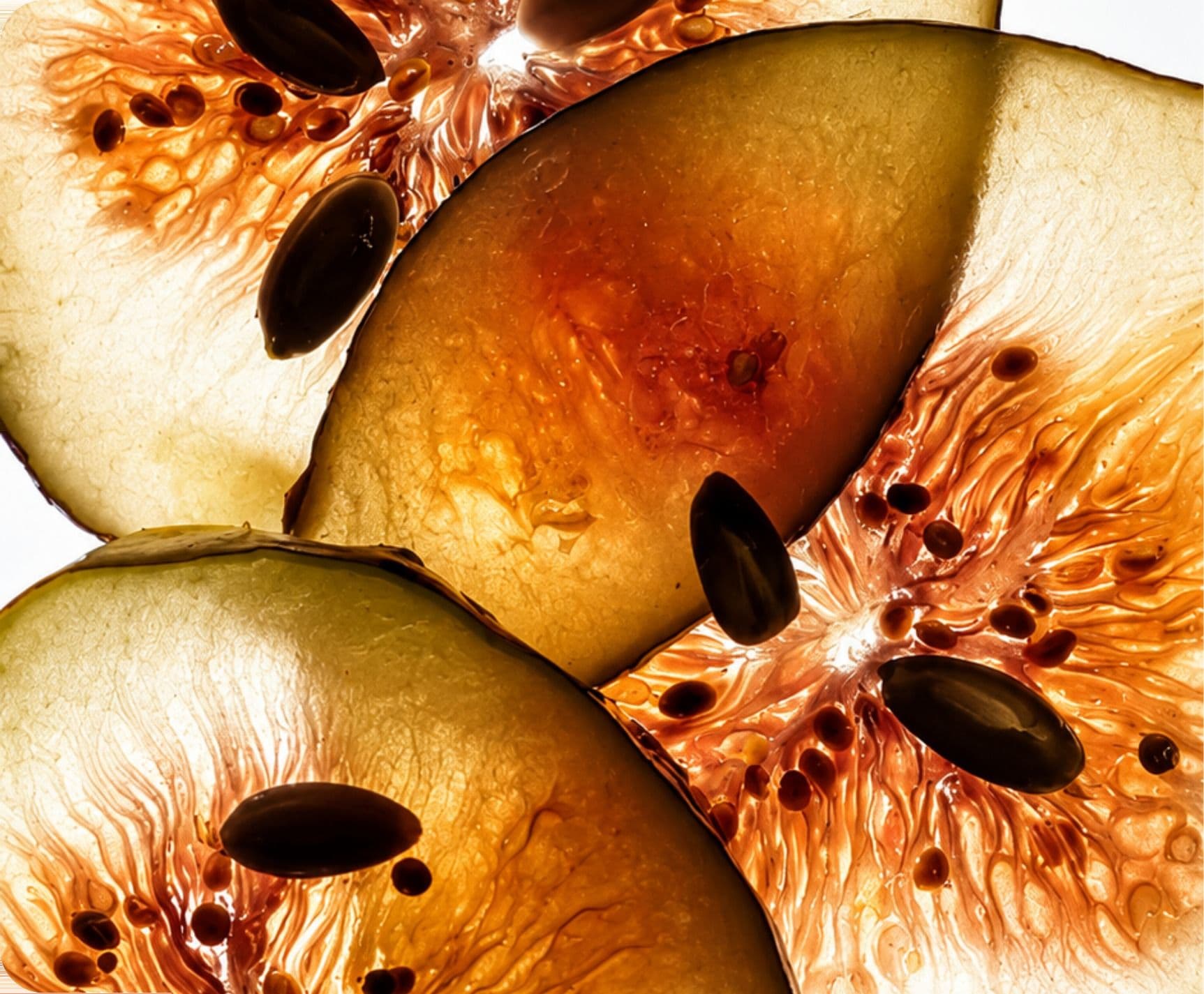 Cut figs, backlit