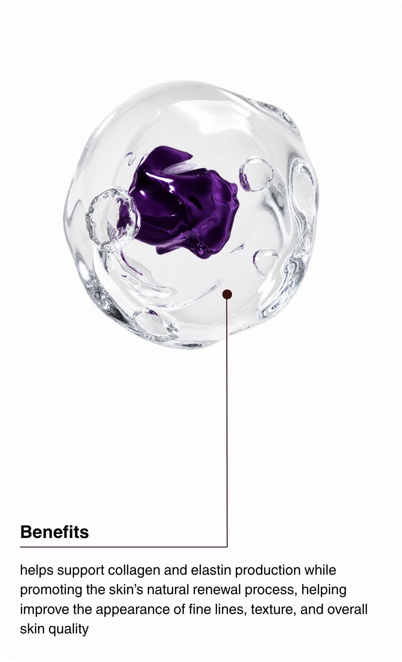 Benefits. Helps support collagen and elastin production while promoting the skin's natural renewal process, helping improve the appearance of fine lines, texture, and overall skin quality.