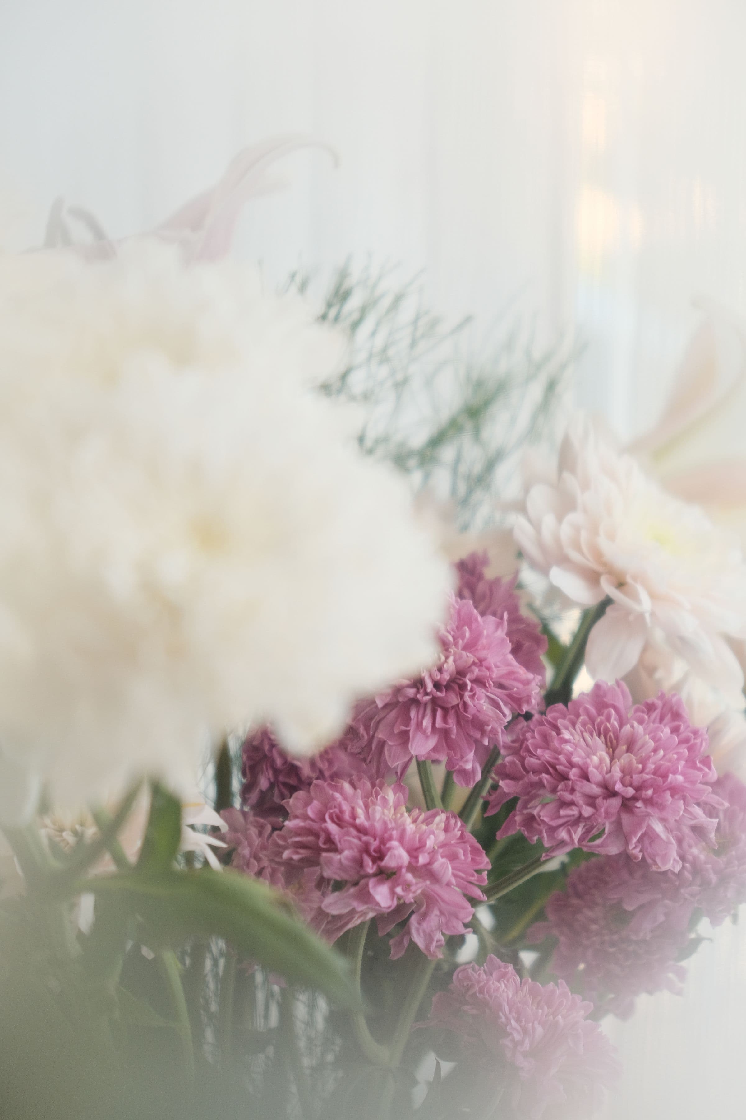 Pink and white chrysanthemums behind frosted glass, opening a complete guide to GLP-1 treatment for PCOS in women