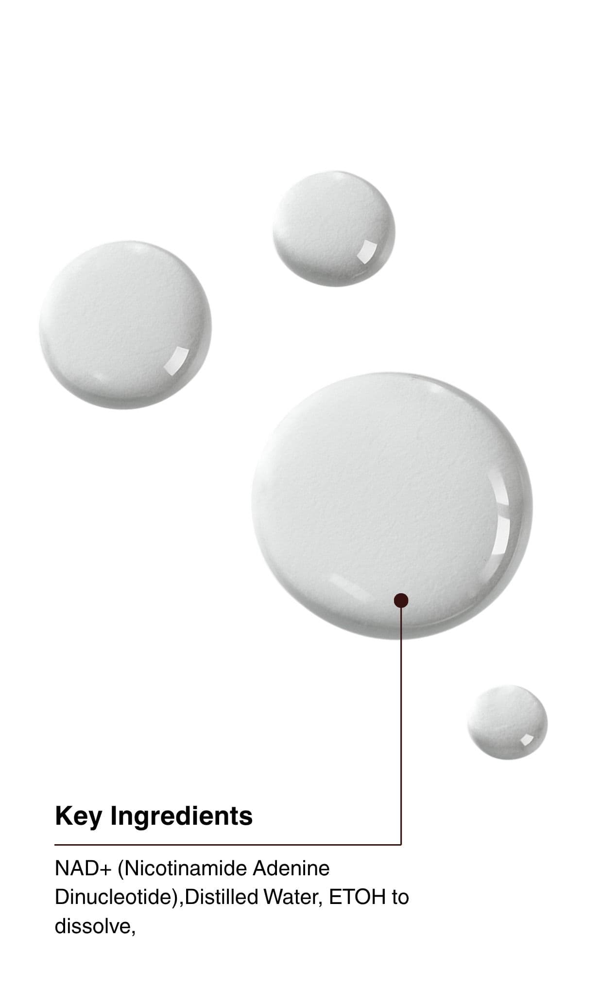 Key Ingredients. NAD+ (Nicotinamide Adenine Dinucleotide), Distilled Water, ETOH to dissolve.