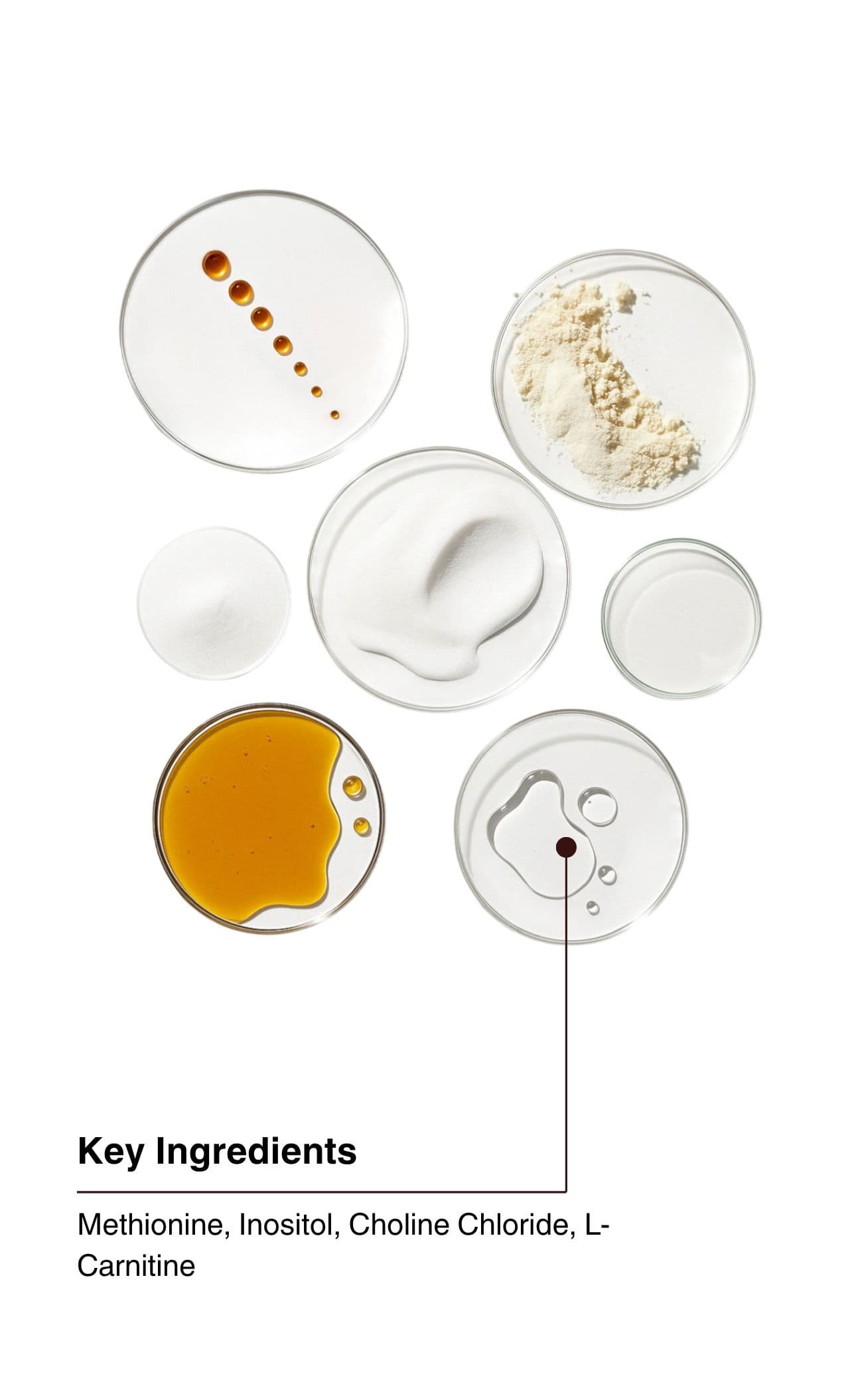 Key Ingredients. Methionine, Inositol, Choline Chloride, L-Carnitine.