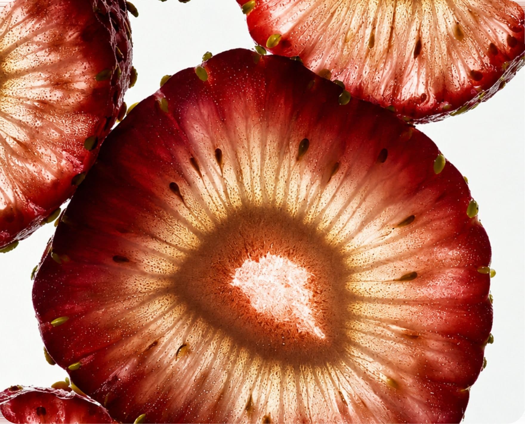 Sliced strawberries, backlit