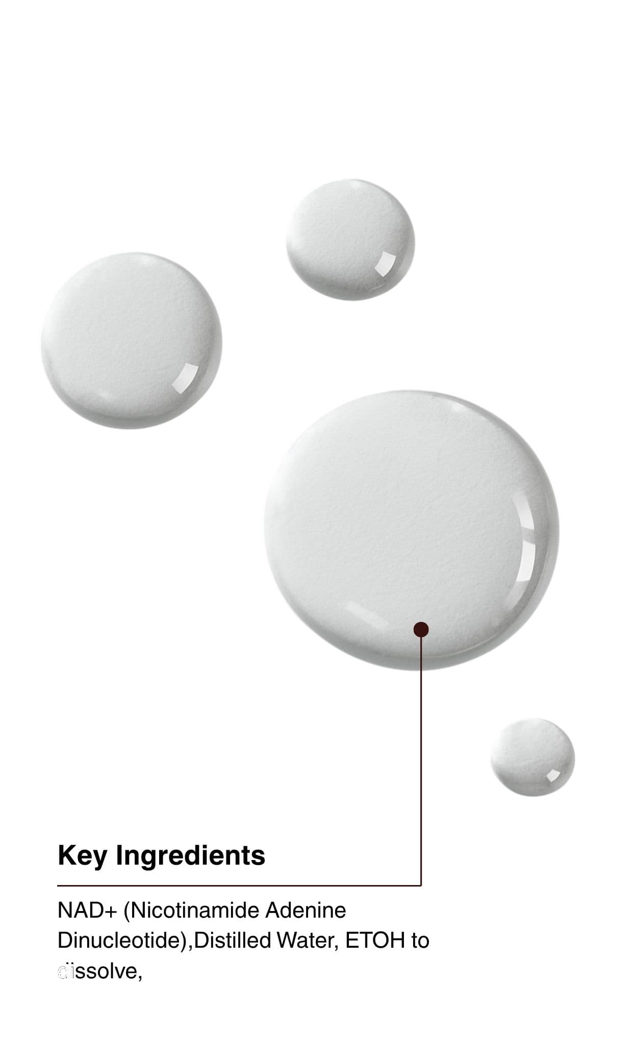 Key Ingredients. NAD+ (Nicotinamide Adenine Dinucleotide), Distilled Water, ETOH to dissolve.