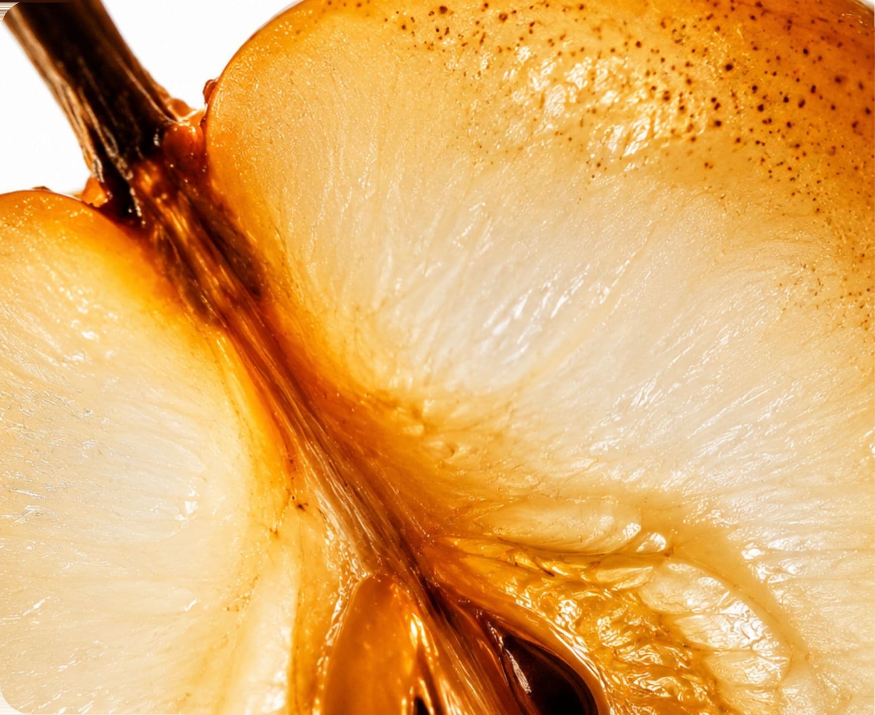 A pear, halved and backlit