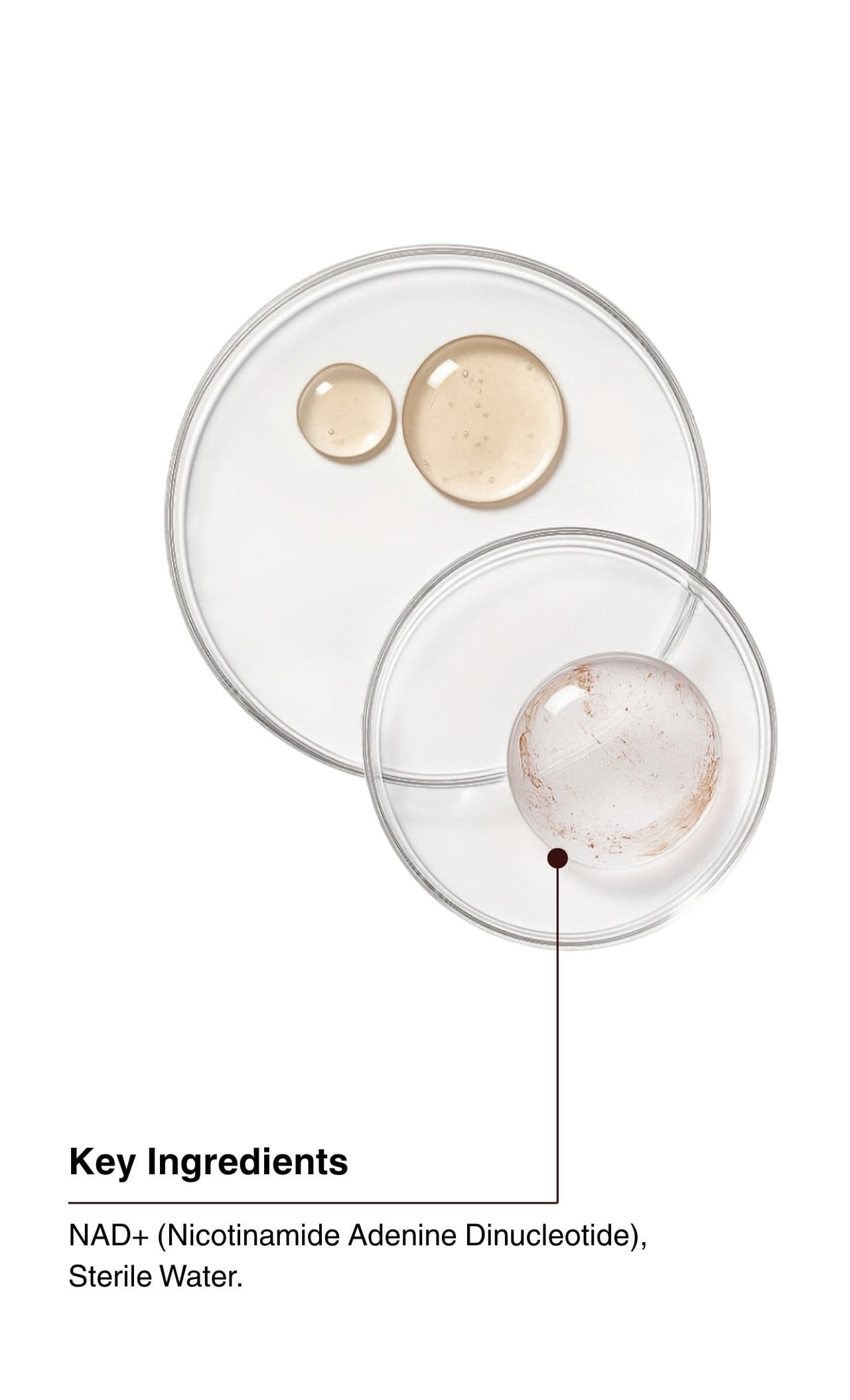 Key Ingredients. NAD+ (Nicotinamide Adenine Dinucleotide), Sterile Water.