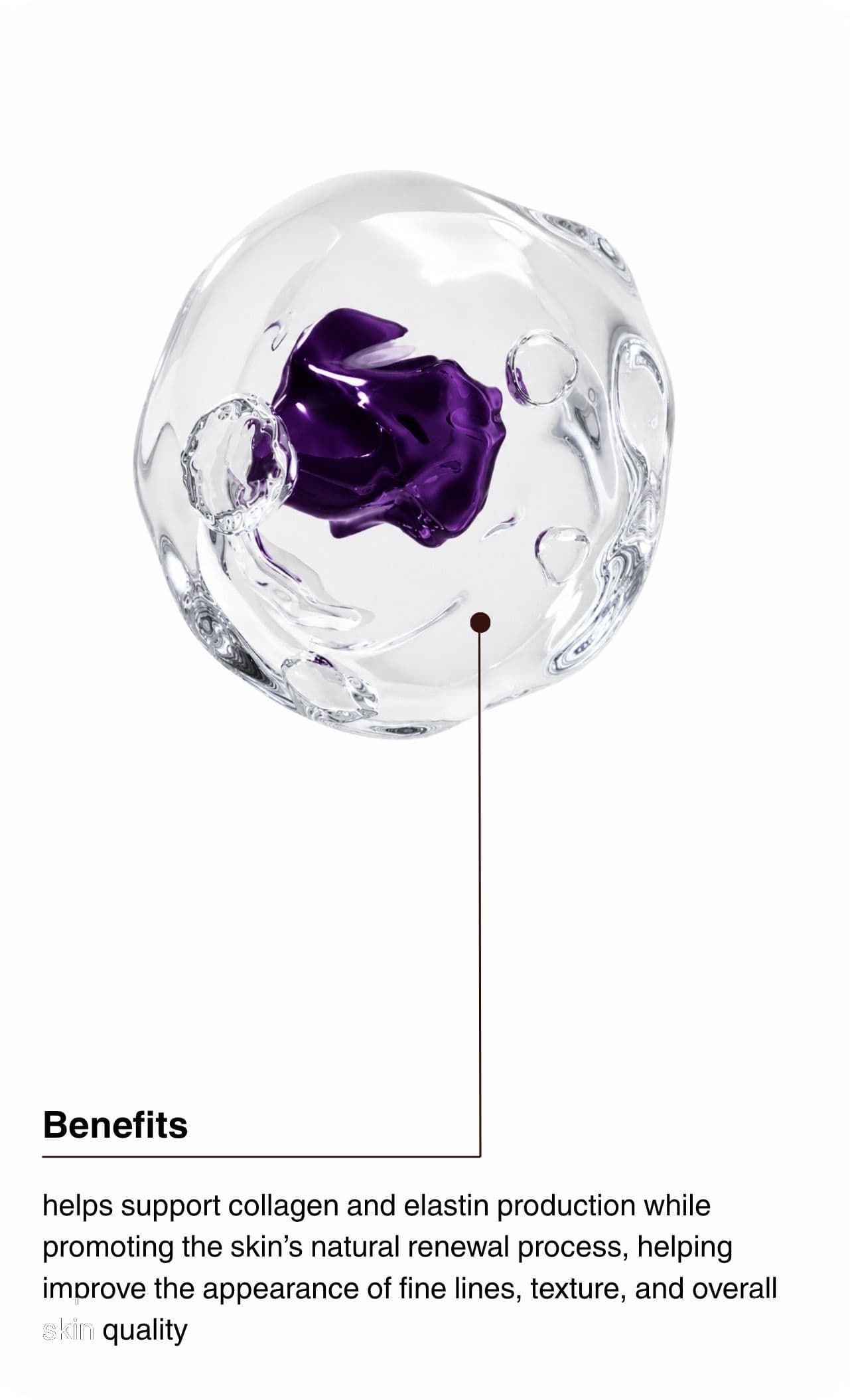 Benefits. Helps support collagen and elastin production while promoting the skin's natural renewal process, helping improve the appearance of fine lines, texture, and overall skin quality.